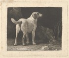 Dog (A Foxhound Viewed from Behind), George Stubbs  British, Roulette work with etching; first and only state