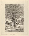 Maples in Early Spring, Childe Hassam  American, Etching