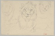 A Lion, Full Face, August 30, 1841, Eugène Delacroix French, Graphite