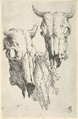 Two ox skulls and a portion of a third, study for "Democritus in Meditation", Salvator Rosa  Italian, Etching