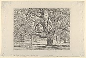The Big Horse Chestnut Tree, Easthampton, Childe Hassam  American, Etching