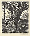 Catalpa Tree, Michael J. Gallagher  American, Wood engraving