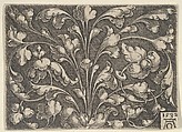 Horizontal Panel with Tendrils Rising from Center, Heinrich Aldegrever German, Engraving