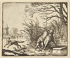 The Wolf Accuses Renard Once Again from Hendrick van Alcmar's Renard The Fox, Allart van Everdingen Dutch, Engraving; third state of four