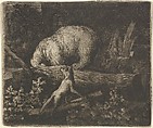The Bear with His Snout and Forepaws Caught in the Trunk of a Tree from Hendrick van Alcmar's Renard The Fox, Allart van Everdingen  Dutch, Mezzotint; second state of five