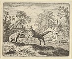 The Badger Imposes as Punishment to Jump Three Times Over a Stick on the Ground from Hendrick van Alcmar's Renard The Fox, Allart van Everdingen  Dutch, Engraving; fourth state of five