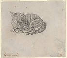 Study of a Sleeping Cat, Jan Miel  Flemish, Black chalk