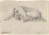 Study of a Sleeping Dog, Jan Miel  Flemish, Black chalk