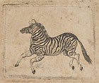 Banknote vignette showing a zebra, Asher Brown Durand  American, Etching; proof