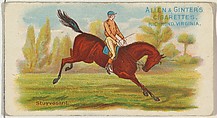 Stuyvesant, from The World's Racers series (N32) for Allen & Ginter Cigarettes, Allen & Ginter  American, Commercial color lithograph