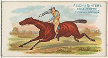 Firenzi, from The World's Racers series (N32) for Allen & Ginter Cigarettes, Allen & Ginter  American, Commercial color lithograph