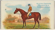 Blue Wing, from The World's Racers series (N32) for Allen & Ginter Cigarettes, Allen & Ginter American, Commercial color lithograph