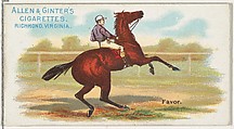 Favor, from The World's Racers series (N32) for Allen & Ginter Cigarettes, Allen & Ginter American, Commercial color lithograph