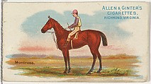 Montrose, from The World's Racers series (N32) for Allen & Ginter Cigarettes, Allen & Ginter American, Commercial color lithograph