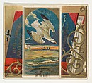 Seagull, from the Birds of America series (N37) for Allen & Ginter Cigarettes, Allen & Ginter American, Commercial color lithograph