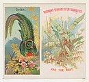 Quezal, from Birds of the Tropics series (N38) for Allen & Ginter Cigarettes, Allen & Ginter  American, Commercial color lithograph