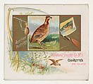 American Partridge, from the Game Birds series (N40) for Allen & Ginter Cigarettes, Allen & Ginter  American, Commercial color lithograph