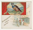 California Partridge, from the Game Birds series (N40) for Allen & Ginter Cigarettes, Allen & Ginter  American, Commercial color lithograph