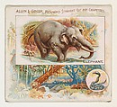 Elephant, from Quadrupeds series (N41) for Allen & Ginter Cigarettes, Allen & Ginter  American, Commercial color lithograph