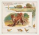 Fox, from Quadrupeds series (N41) for Allen & Ginter Cigarettes, Allen & Ginter  American, Commercial color lithograph
