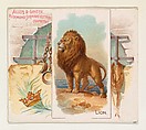 Lion, from Quadrupeds series (N41) for Allen & Ginter Cigarettes, Allen & Ginter  American, Commercial color lithograph