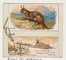 Lynx, from Quadrupeds series (N41) for Allen & Ginter Cigarettes, Allen & Ginter  American, Commercial color lithograph