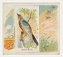 Audobons Warbler, from the Song Birds of the World series (N42) for Allen & Ginter Cigarettes, Allen & Ginter American, Commercial color lithograph