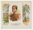 Willie Harradon, Cyclist, The Youthful Phenomenon, from World's Champions, Second Series (N43) for Allen & Ginter Cigarettes, Allen & Ginter (American, Richmond, Virginia), Commercial lithograph