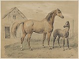 Mare and Foal, Victor Adam French, Lithograph, hand-colored