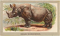 Indian Rhinoceros, from the Animals of the World series (T180), issued by Abdul Cigarettes, Abdul Cigarettes  American, Commercial color lithograph
