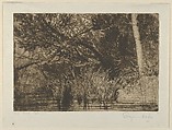 The Mouth of a Brook, No. 1, Sir Francis Seymour Haden  British, Etching and drypoint; first state of two (Schneidermann); trial proof a (Harrington)