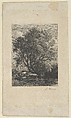The Willow, Samuel Palmer  British, Etching; second state of three