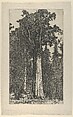 General Sherman, Ernest Haskell American, Etching and engraving and some false biting
