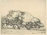 Four Live Oaks, Ernest Haskell American, Drypoint