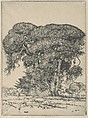 Cemetery Live Oak, Ernest Haskell American, Etching and engraving