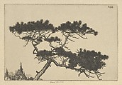 Crippled Pine, Ernest Haskell  American, Etching