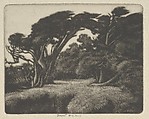 Cypress Bower, Ernest Haskell American, Mezzotint