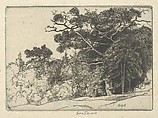 Brown's Oak, Ernest Haskell  American, Etching