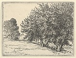 Apple Trees, Ernest Haskell American, Etching