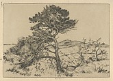Popham Pines, Ernest Haskell  American, Drypoint