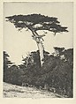 Dryad's Parasol, Ernest Haskell American, Etching