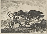 El Torro, Ernest Haskell American, Etching and engraving