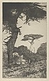Cypress Vale, Ernest Haskell  American, Etching
