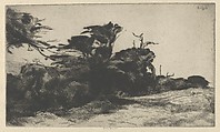 Cypress Study No. 2, Ernest Haskell American, Drypoint