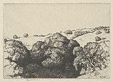 Live Oak Shadows, Ernest Haskell American, Etching