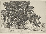 The Oak and the Adobe, Ernest Haskell American, Etching
