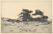 Lighthouse Pines No. 2, Ernest Haskell  American, Drypoint