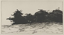 Cypress Wall, Ernest Haskell American, Drypoint