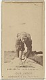 Samuel J. "Skyrocket" Smith, 1st Base, Louisville Colonels, from the Old Judge series (N172) for Old Judge Cigarettes, Goodwin & Company, Albumen photograph