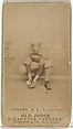 Philip H. "Buster" Tomney, Shortstop, Louisville Colonels, from the Old Judge series (N172) for Old Judge Cigarettes, Goodwin & Company, Albumen photograph